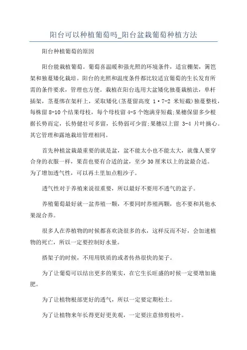 阳台可以种植葡萄吗_阳台盆栽葡萄种植方法