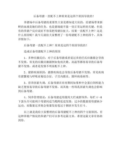 后备母猪一直配不上种原来是这四个原因导致的!