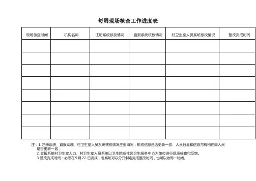 每周现场核查工作进度表