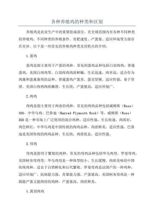 各种养殖鸡的种类和区别
