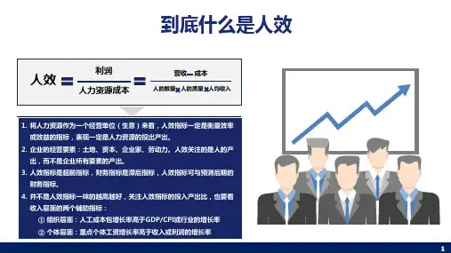 战略人效人力资源产品价值链
