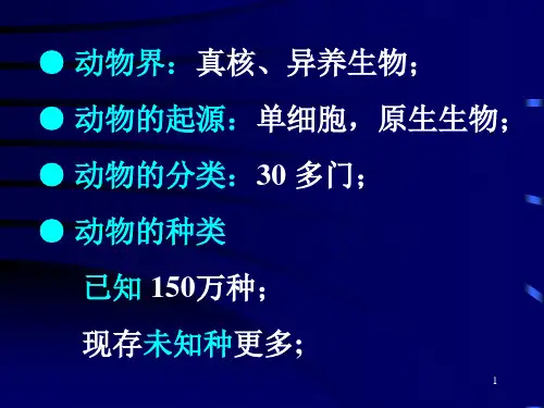 动物多样性进化_PPT幻灯片