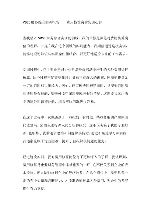 vbse财务综合实训报告费用核算岗的实训心得
