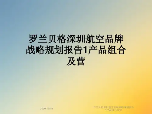 罗兰贝格深圳航空品牌战略规划报告1产品组合及营
