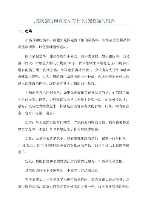 [宠物猫的饲养方法有什么]宠物猫的饲养