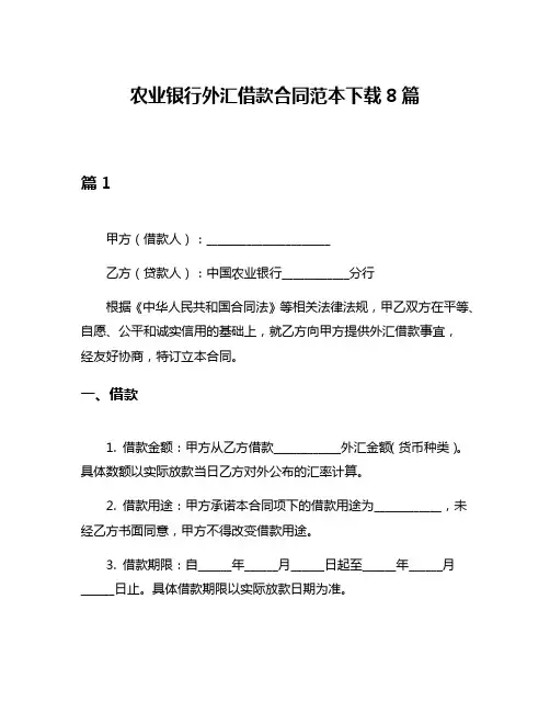 农业银行外汇借款合同范本下载8篇