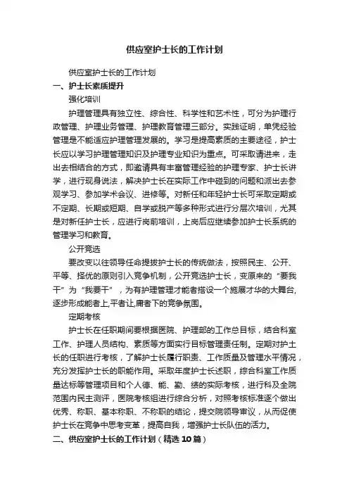 供应室护士长的工作计划（精选10篇）