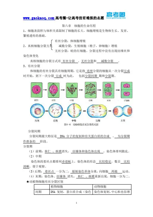 高中生物必修二第六章知识点总结