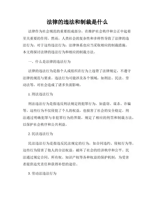 法律的违法和制裁是什么