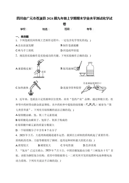 四川省广元市苍溪县2024届九年级上学期期末学业水平测试化学试卷(含答案)