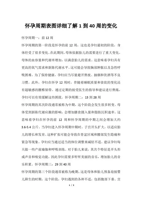 怀孕周期表图详细了解1到40周的变化