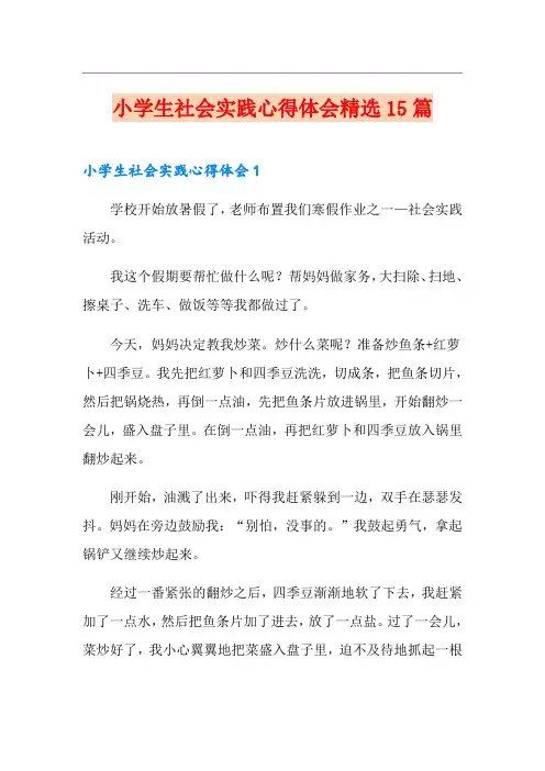 小学生社会实践心得体会精选15篇