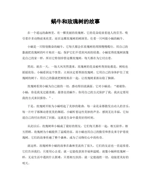 蜗牛和玫瑰树的故事