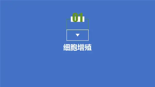 2021-高中生物苏教版必修一课件 苏教 第五章第1节 细胞增殖 