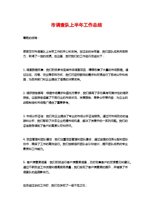 市调查队上半年工作总结