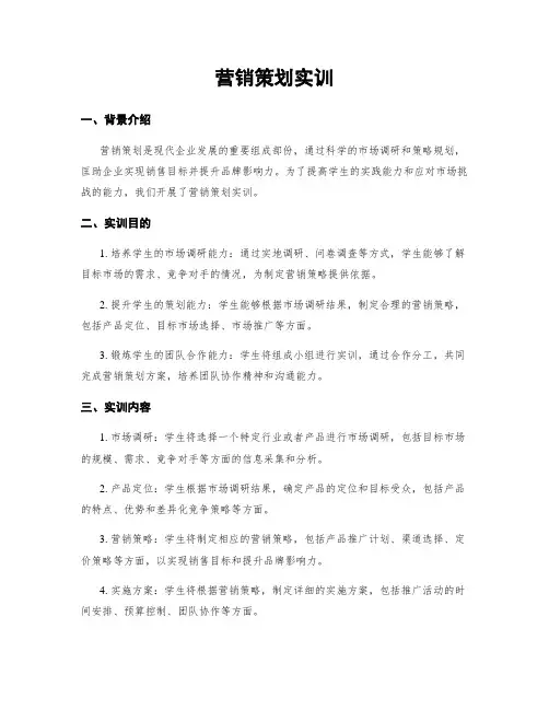 营销策划实训