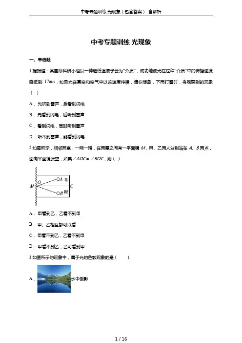 中考专题训练 光现象(包含答案)  含解析