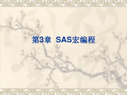 《SAS宏编程》PPT课件