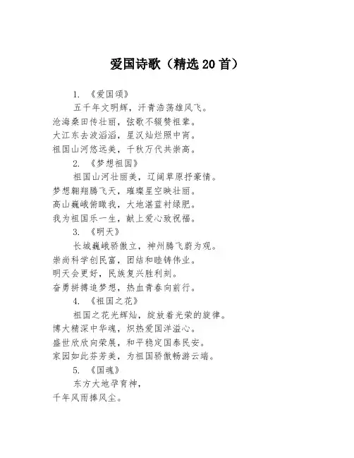 爱国诗歌(精选20首)