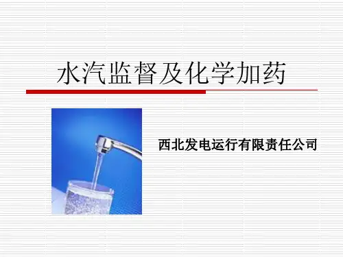 水汽监督及加药系统