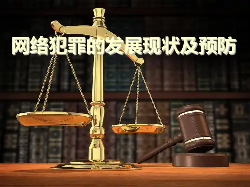 网络犯罪发展现状及预防