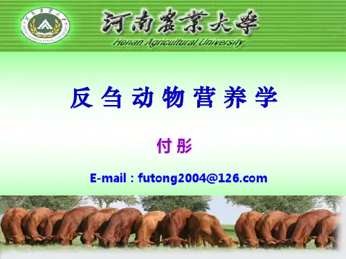 反刍动物营养学(年上学期)—脂类的营养讲诉