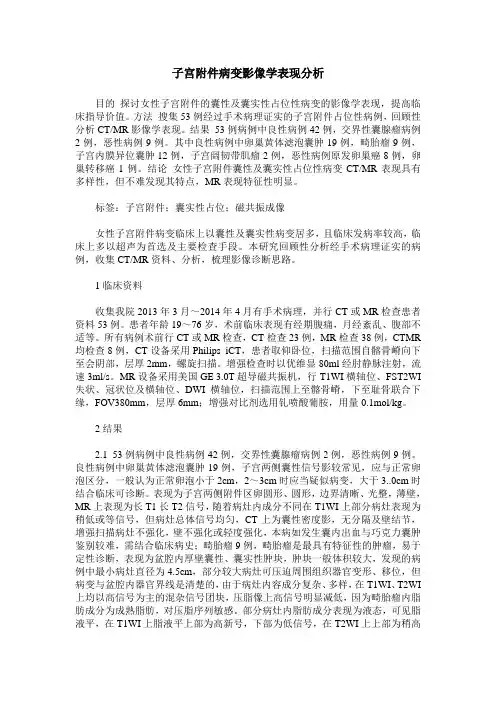 子宫附件病变影像学表现分析