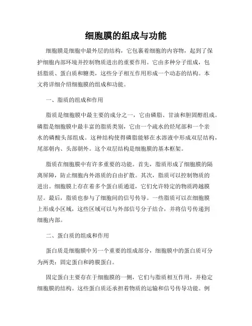 细胞膜的组成与功能