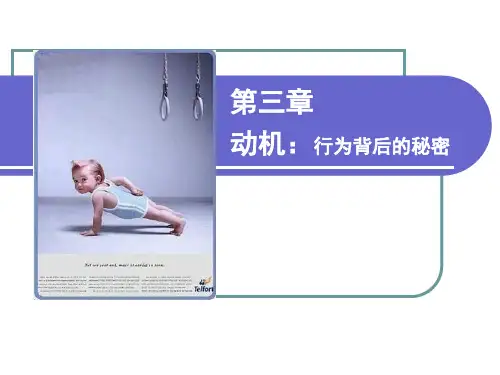 心理学基础第三章.动机