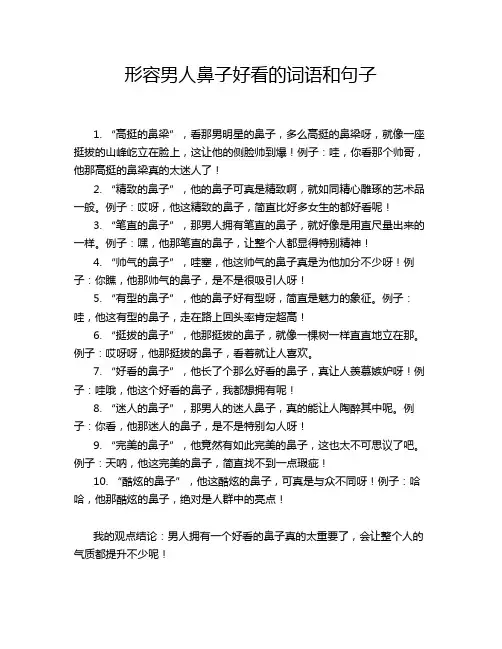 形容男人鼻子好看的词语和句子