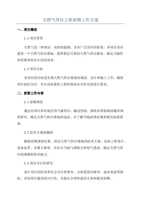 天然气项目工程前期工作方案