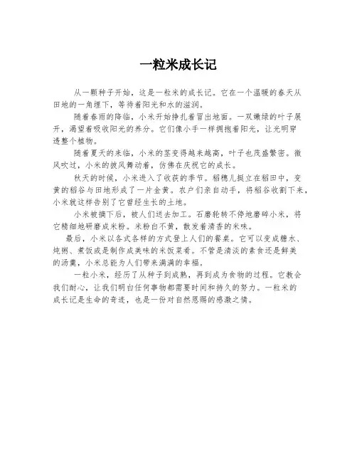 一粒米成长记