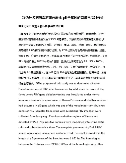 猪伪狂犬病病毒河南分离株gE全基因的克隆与序列分析