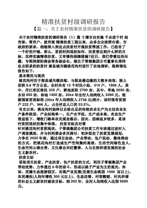 精准扶贫村级调研报告