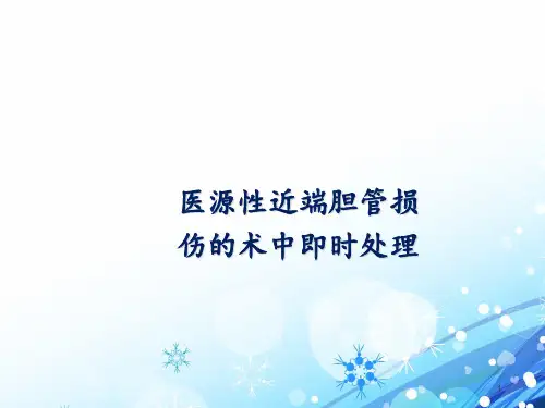 医源性胆道损伤分类与处理  ppt课件