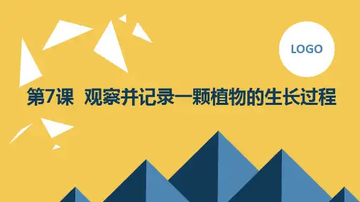 第7课观察并记录一颗植物的生长过程(课件)全国通用六年级下册综合实践活动