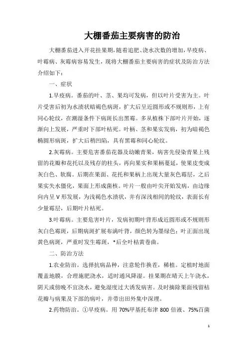 大棚番茄主要病害的防治