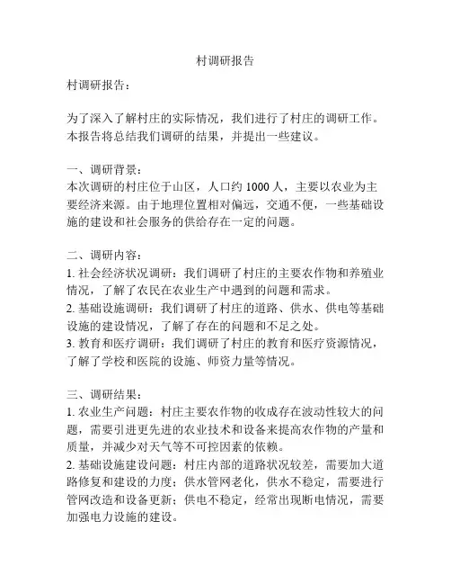 村调研报告