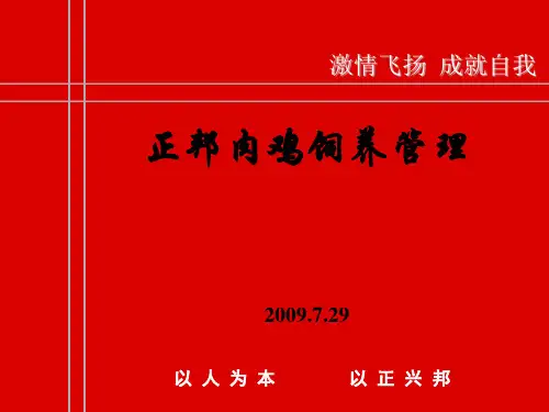 肉鸡饲养管理