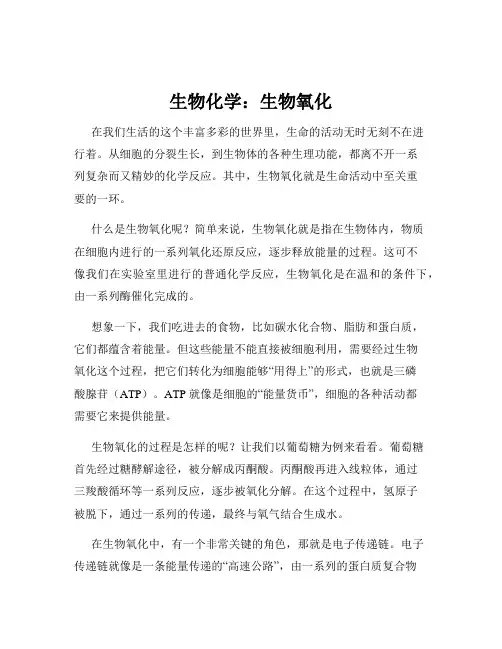 生物化学：生物氧化