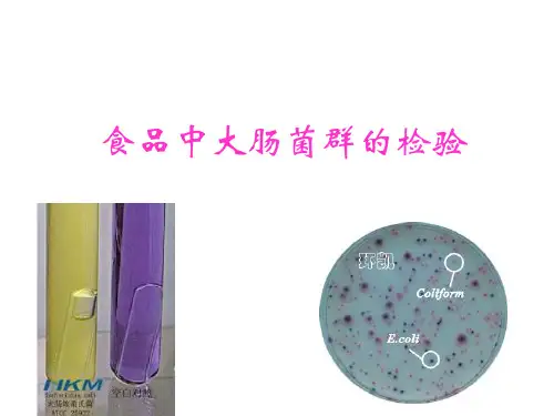 2014实验六 食品中大肠菌群的检验