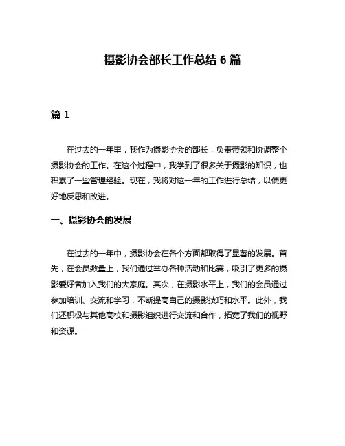 摄影协会部长工作总结6篇