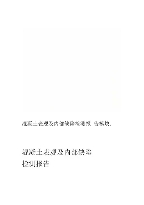 混凝土表观及内部缺陷检测报告模块