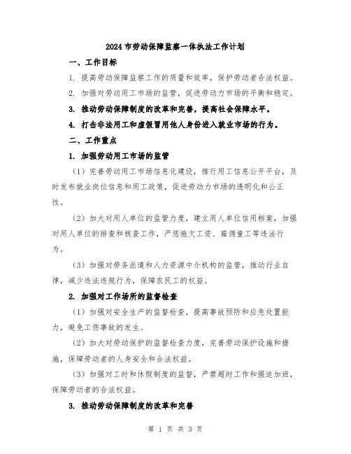 2024市劳动保障监察一体执法工作计划