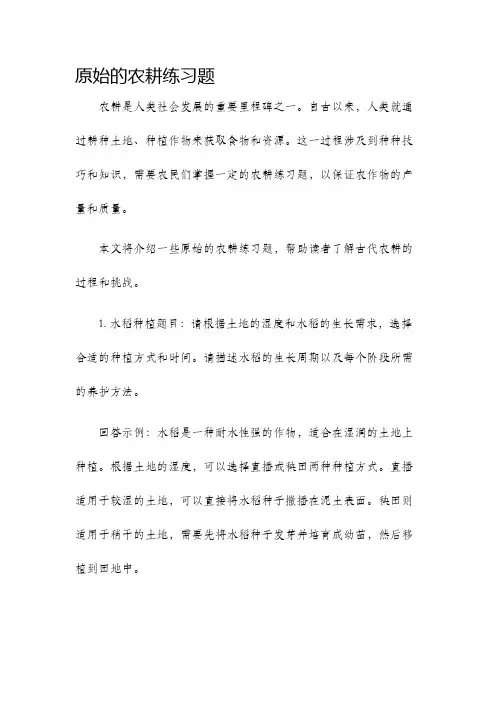 原始的农耕练习题