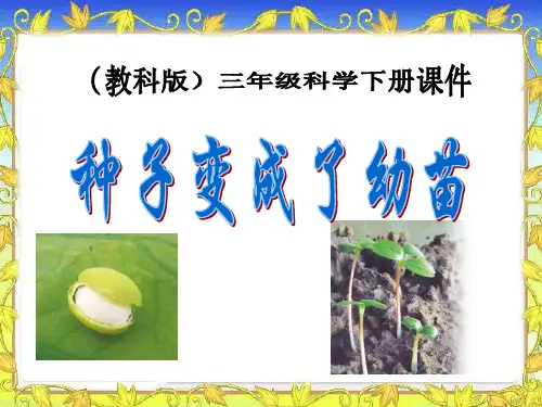 (教科版)三年级科学(下册)《种子变成了幼苗》课件