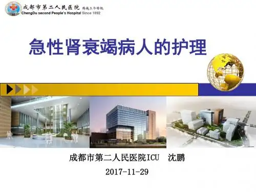 急性肾衰病人的护理 ppt课件