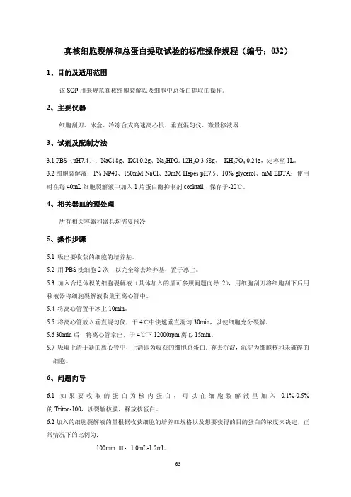 真核细胞裂解和总蛋白提取试验的标准操作规程
