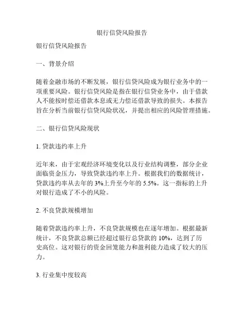 银行信贷风险报告