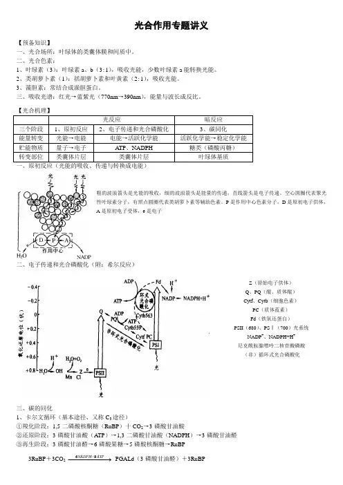 光合作用专题讲义